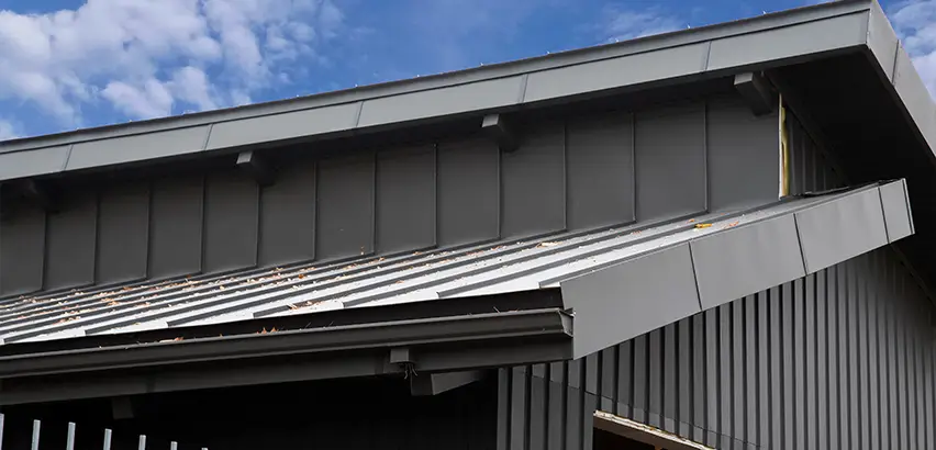 Professional Roof Eaves Installation Services in Carlsbad, CA