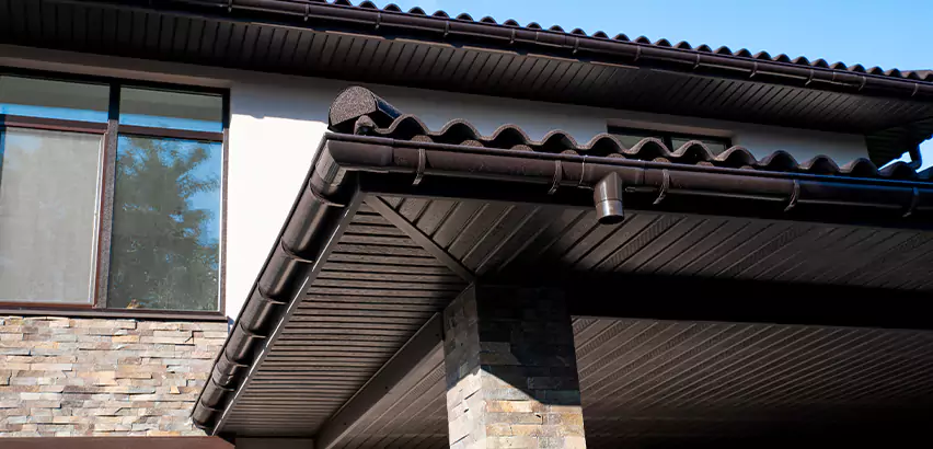 Soffit Damage Repair in Carlsbad